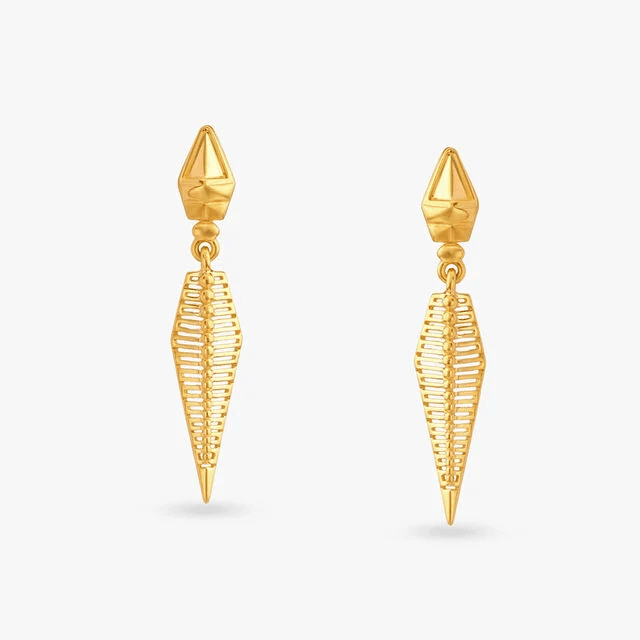 Stunning Abstract Drop Earrings