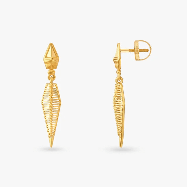 Stunning Abstract Drop Earrings