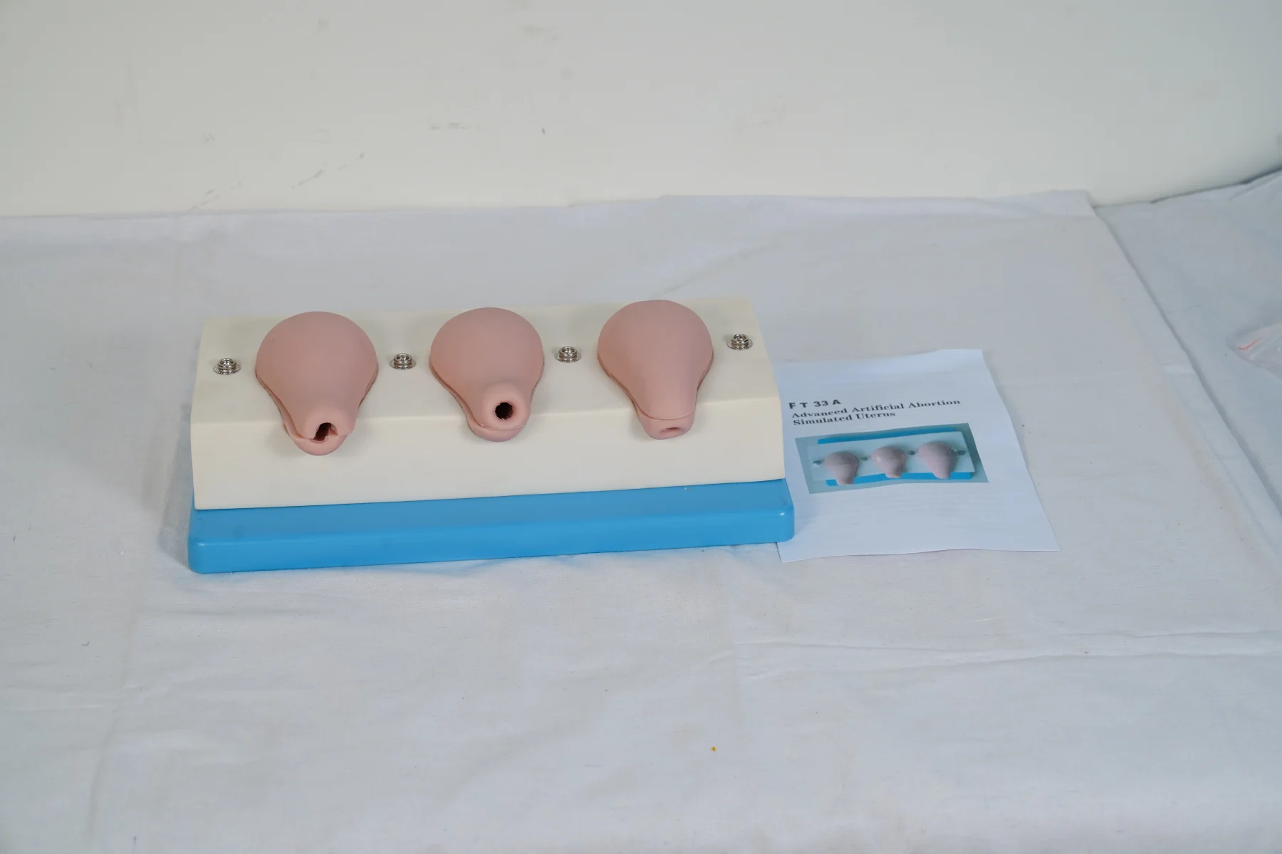 Advanced Artificial Abortion Simulated Uterus thumbnail 2