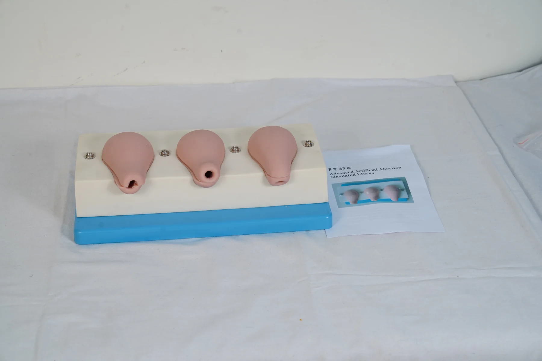 Advanced Artificial Abortion Simulated Uterus thumbnail 5