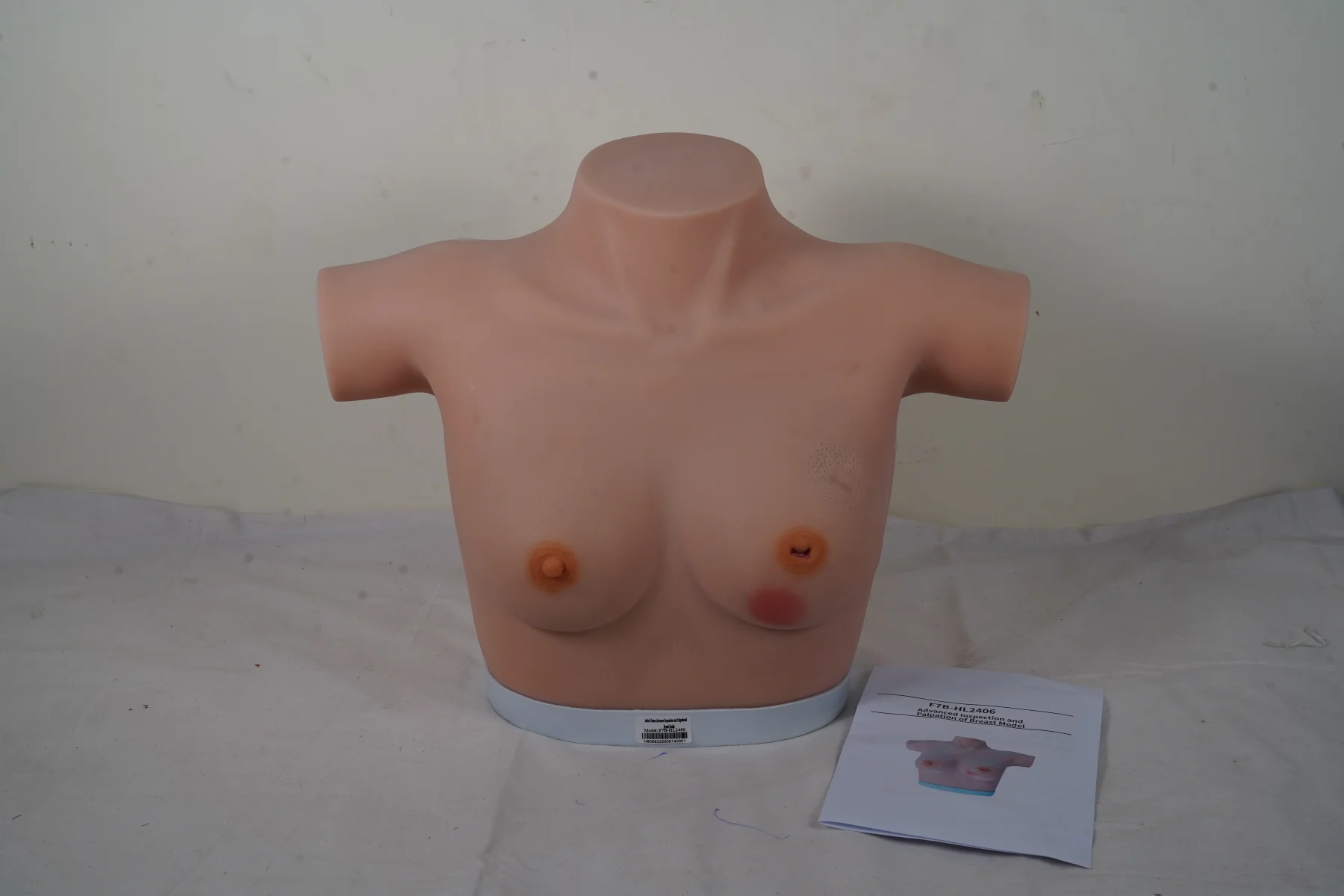 Advanced Inspection and Palpation of Breast Model thumbnail 2