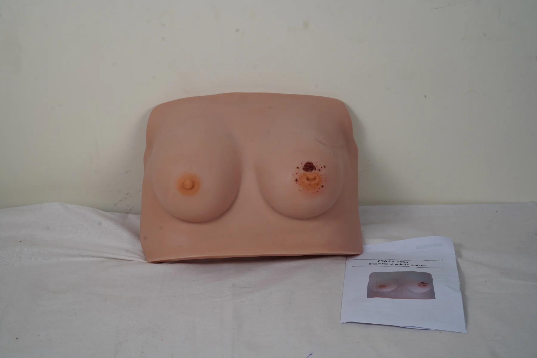 Breast Examination Simulator thumbnail 2