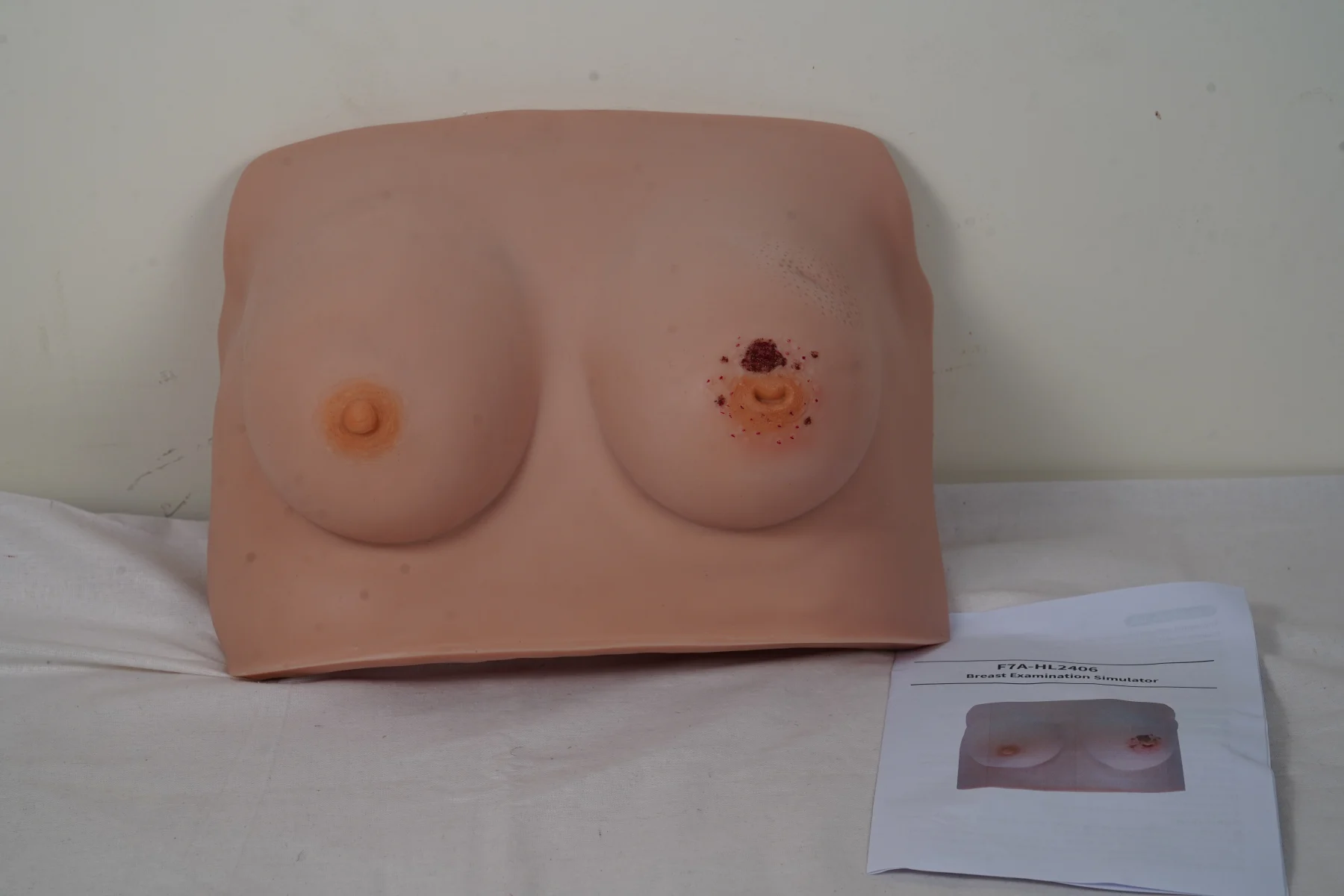 Breast Examination Simulator thumbnail 3