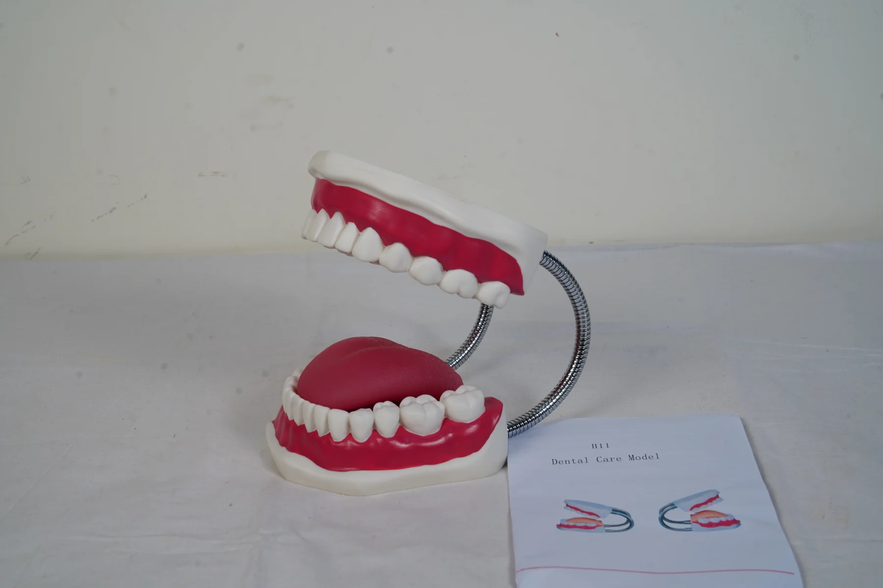 Dental Care Model thumbnail 4