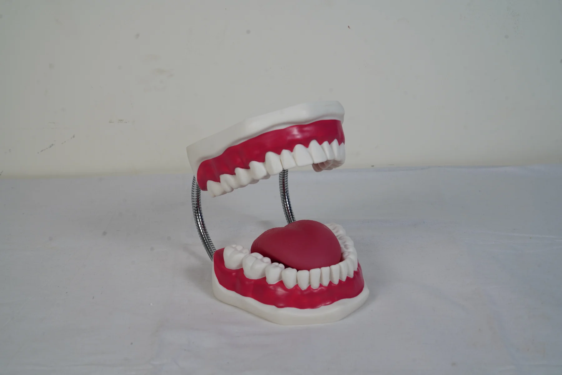 Dental Care Model thumbnail 3