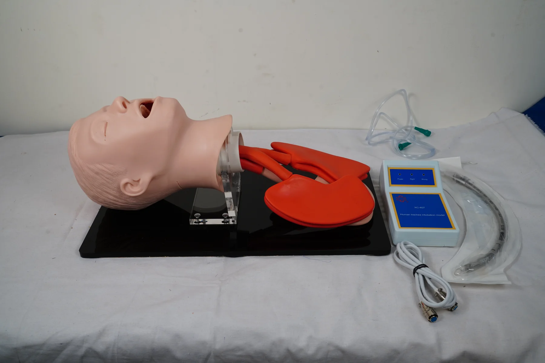 Human Trachea Intubation Model thumbnail 5