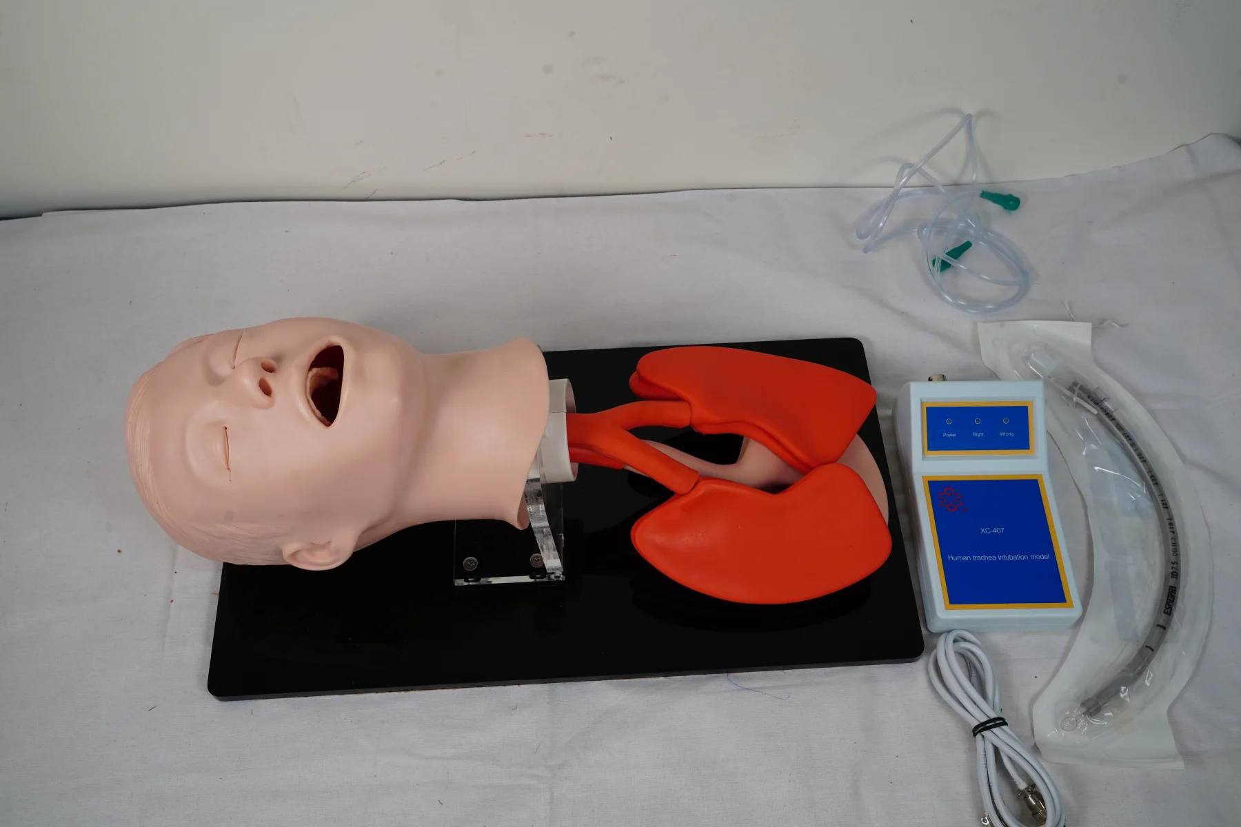 Human Trachea Intubation Model thumbnail 2