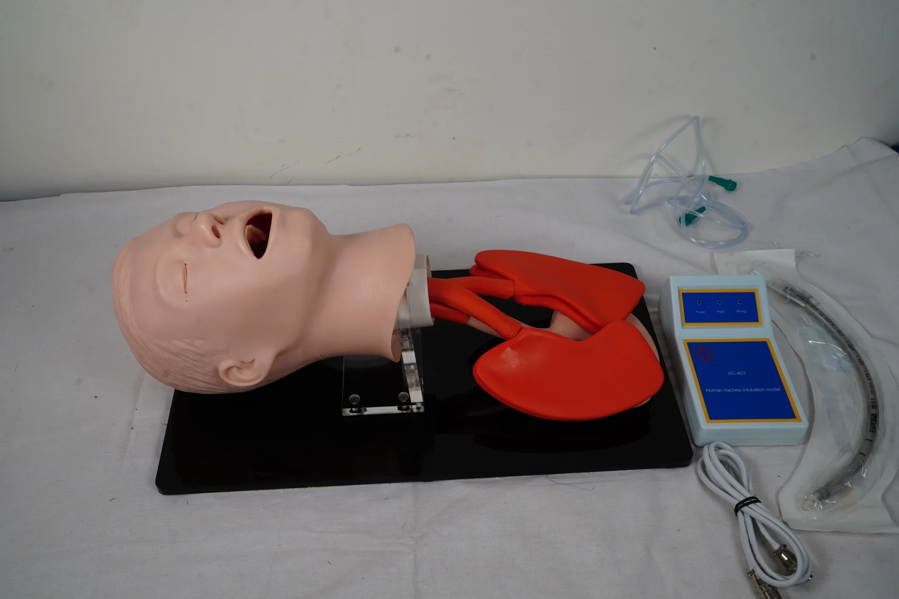 Human Trachea Intubation Model thumbnail 3