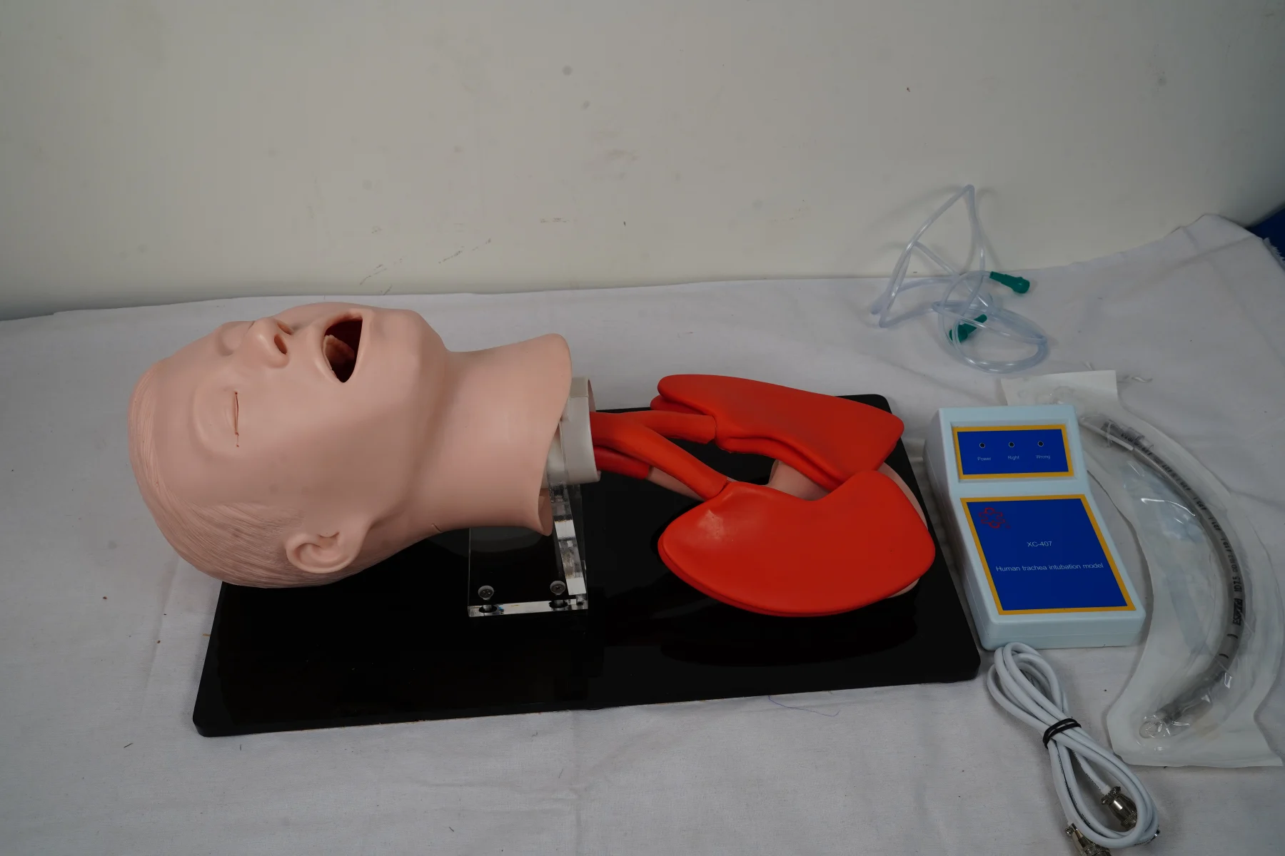 Human Trachea Intubation Model thumbnail 4