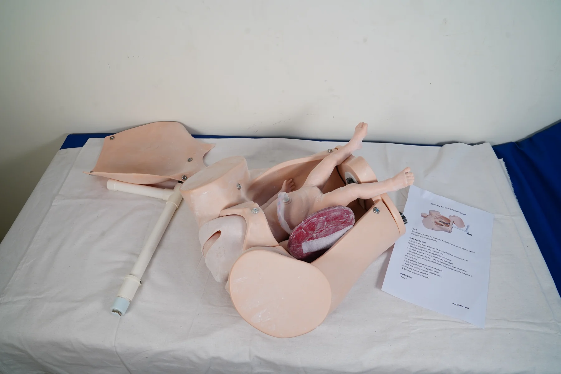 Model of Course of Delivery