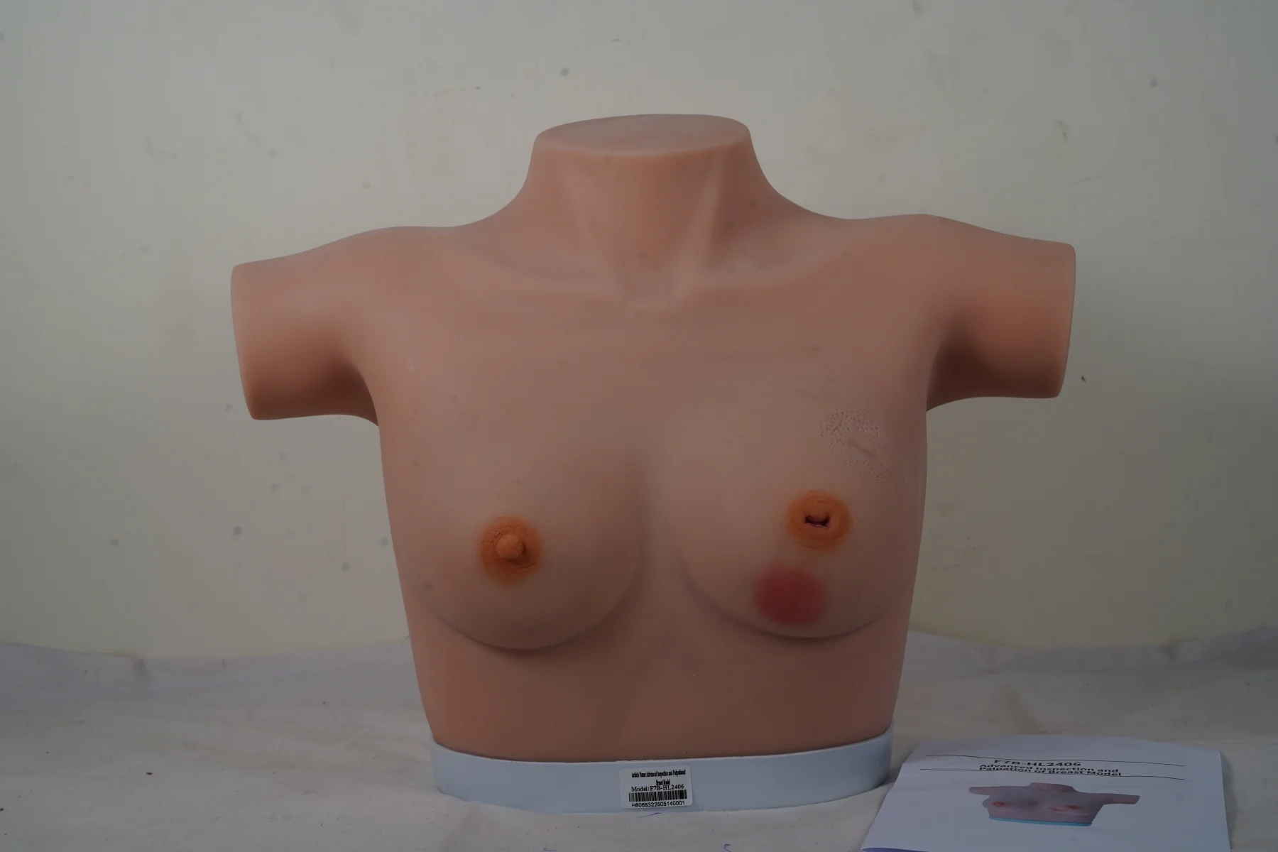 Advanced Inspection and Palpation of Breast Model