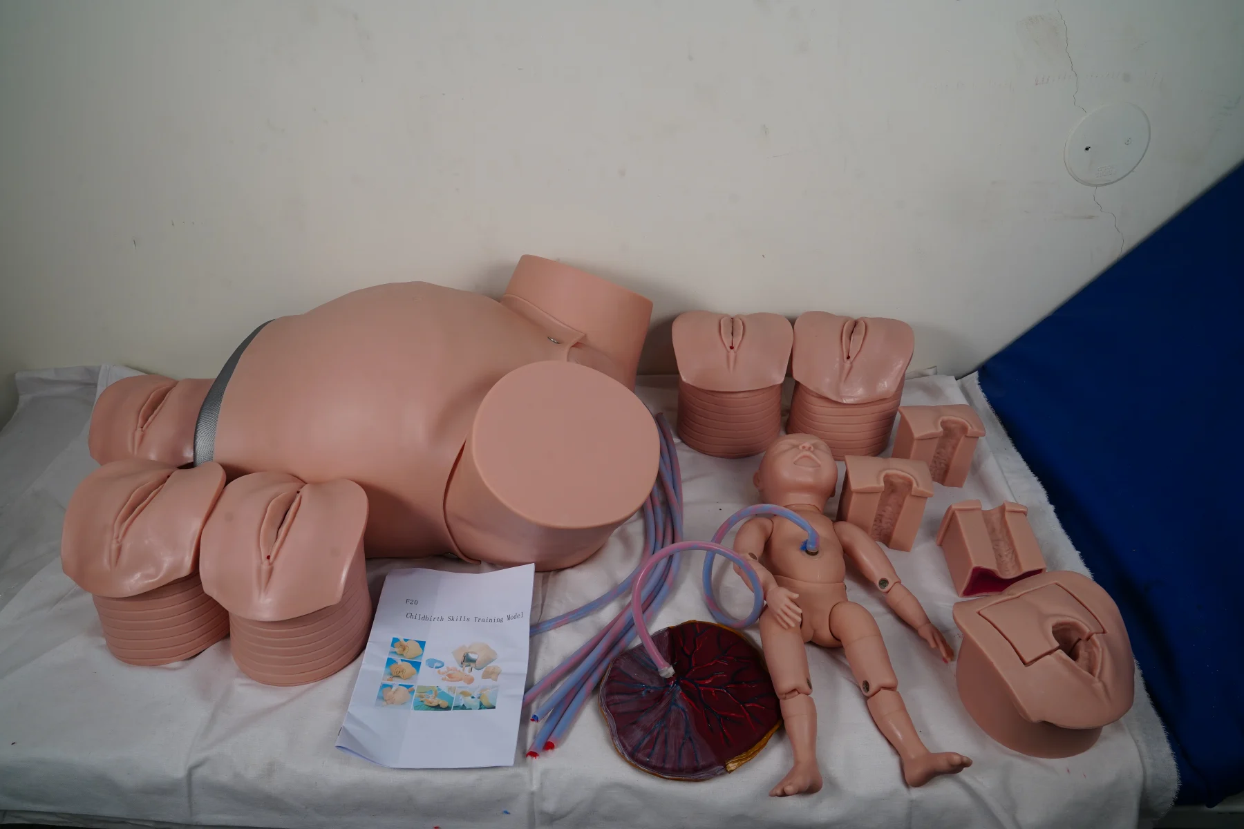 Childbirth Skills Training Model thumbnail 2