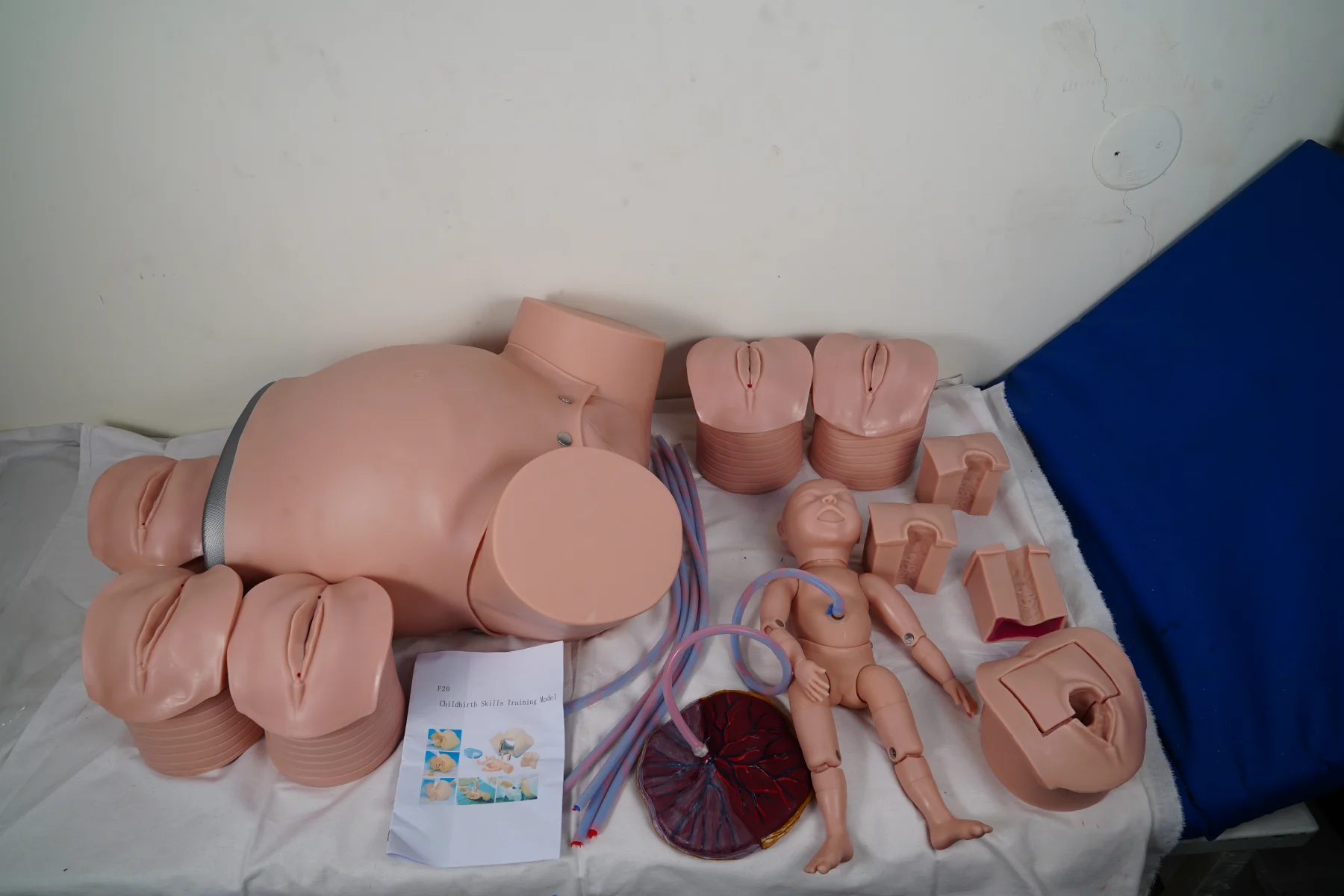 Childbirth Skills Training Model thumbnail 8