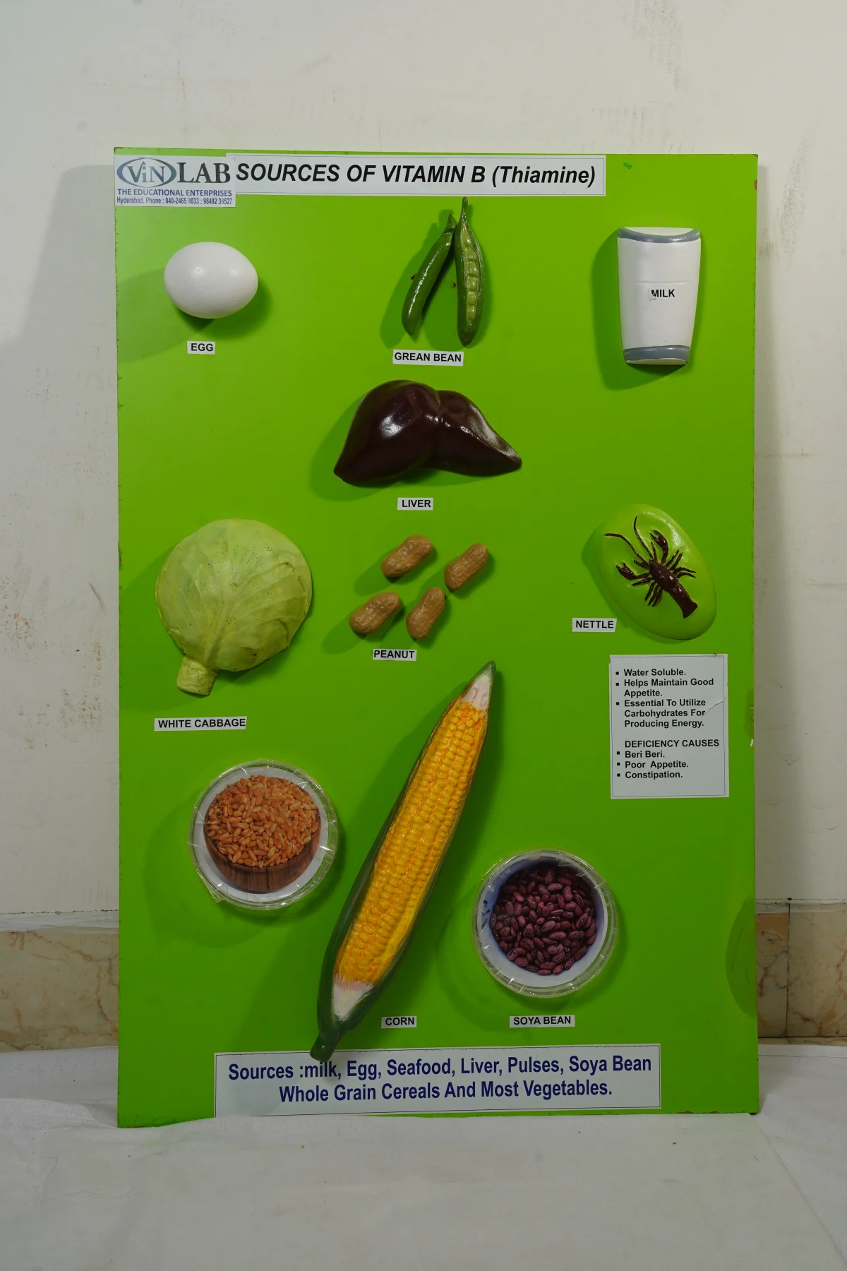 Sources of Vitamin B Thiamine