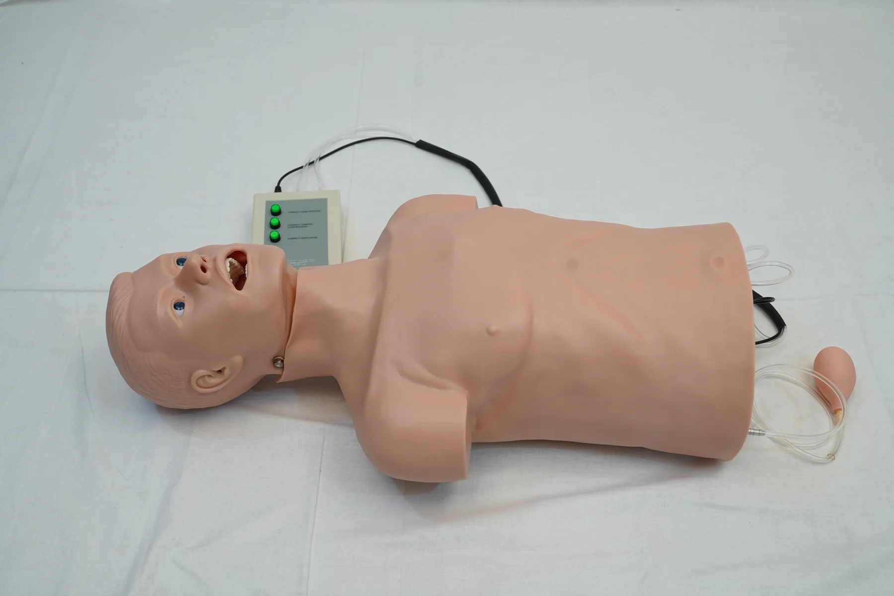 CPR and Intubation Training Manikin Half thumbnail 2