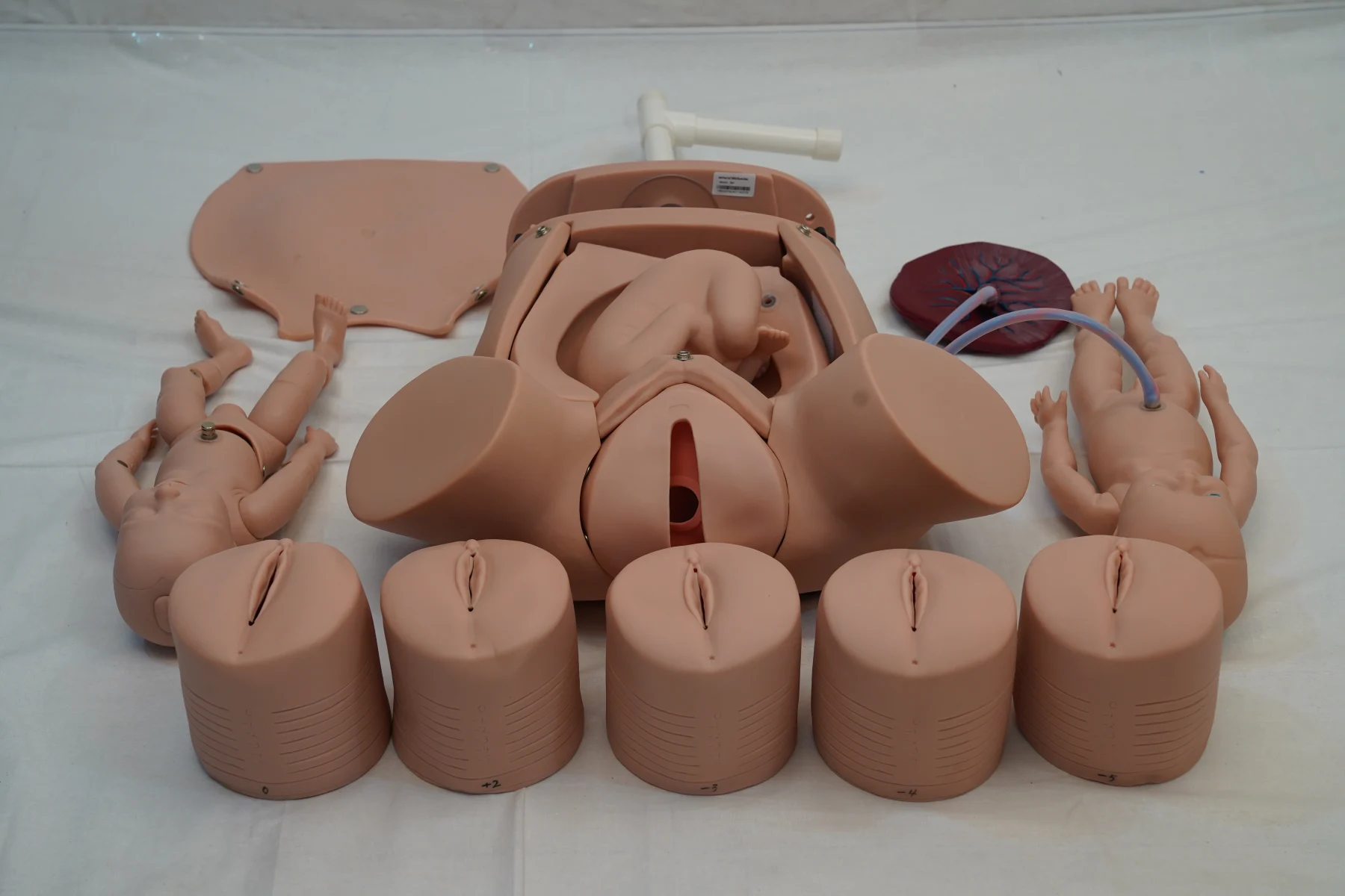 Advanced Abdominal Palpation and Delivery Mechanism thumbnail 6
