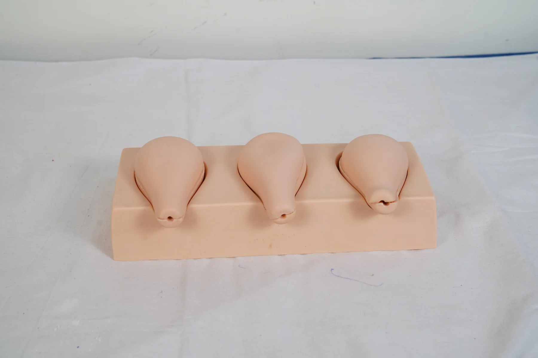 Advanced Artificial Abortion Simulated Uterus