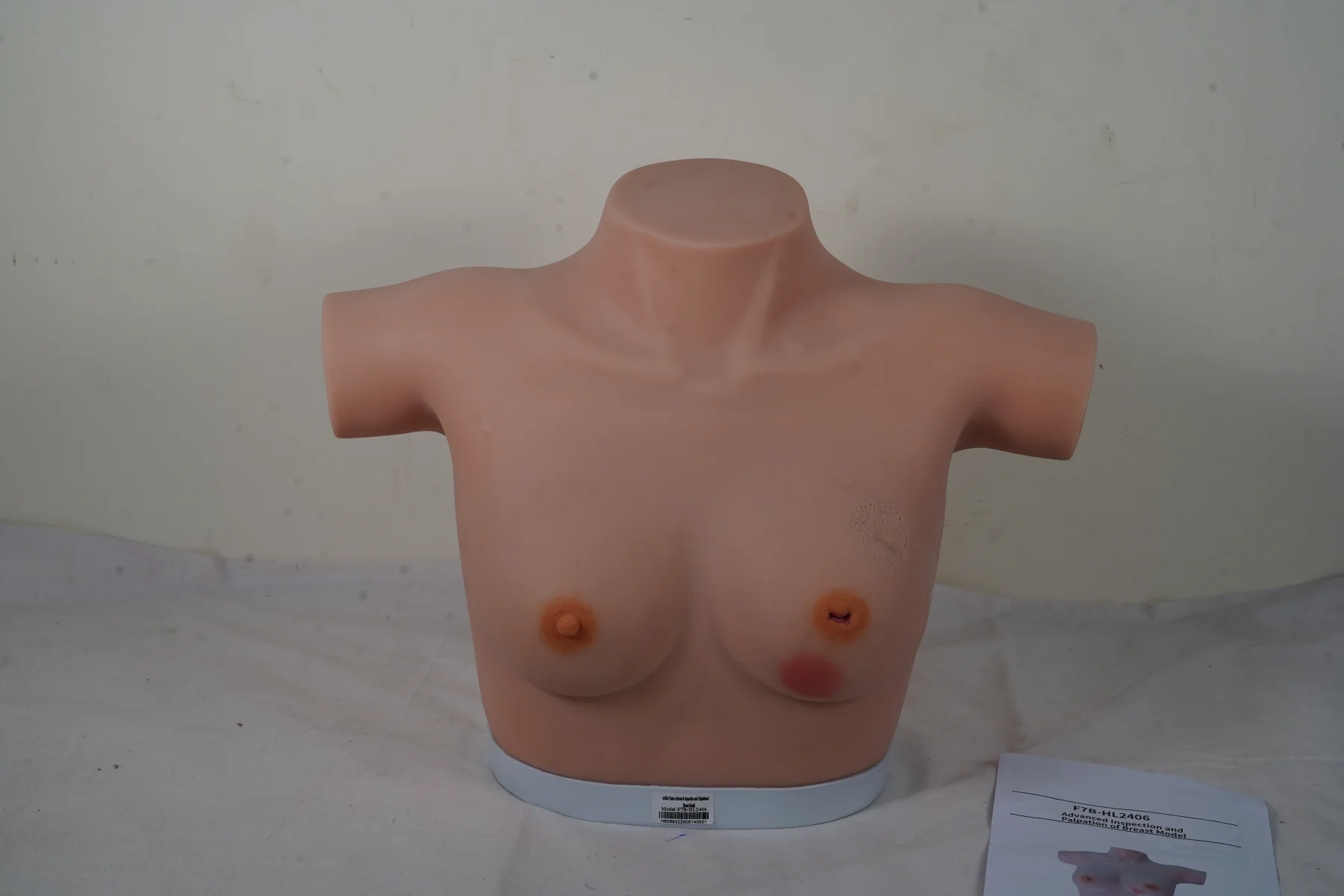 Advanced Inspection and Palpation of Breast Model