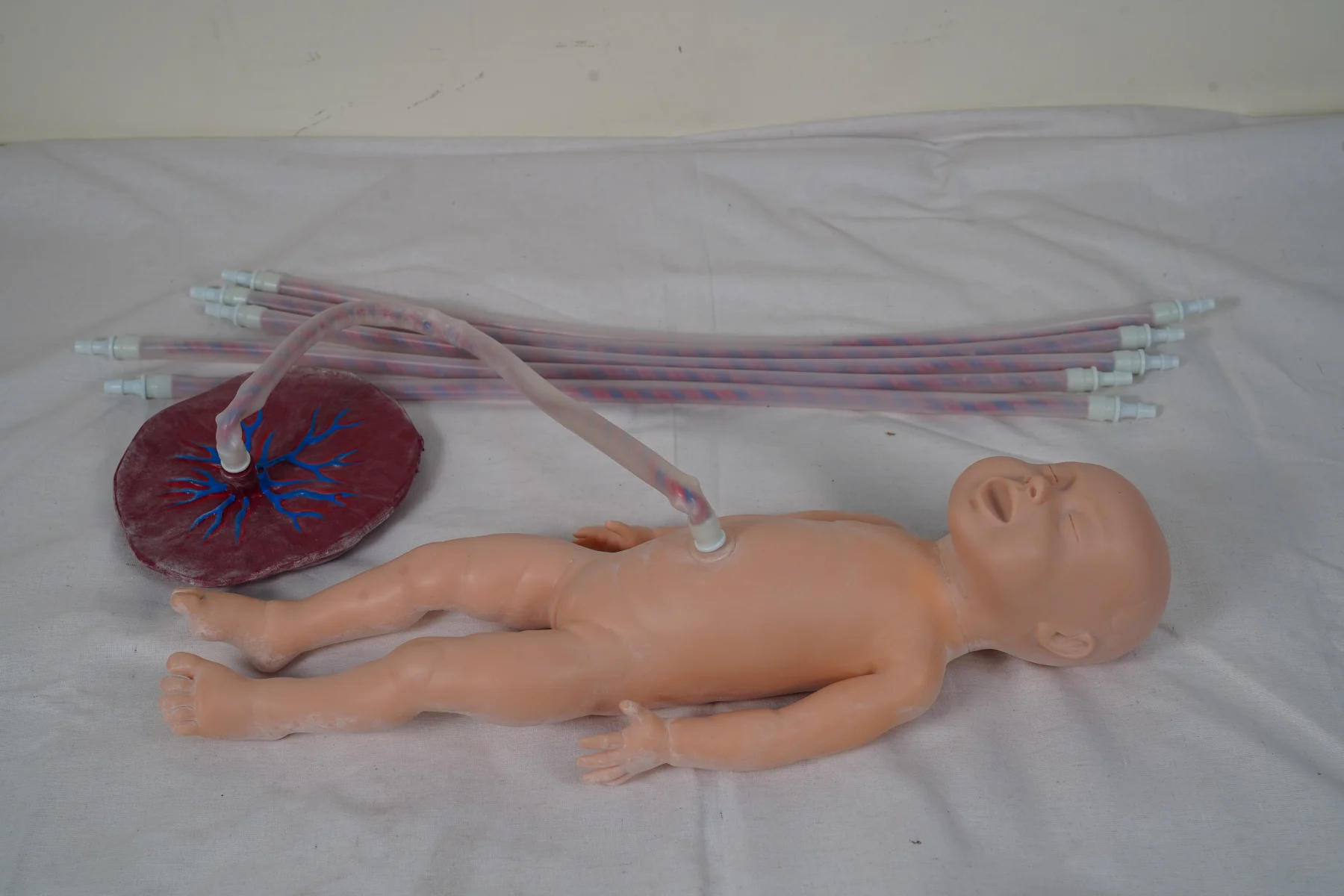 Advanced Neonate Umbilical Cord Nursing Model thumbnail 5