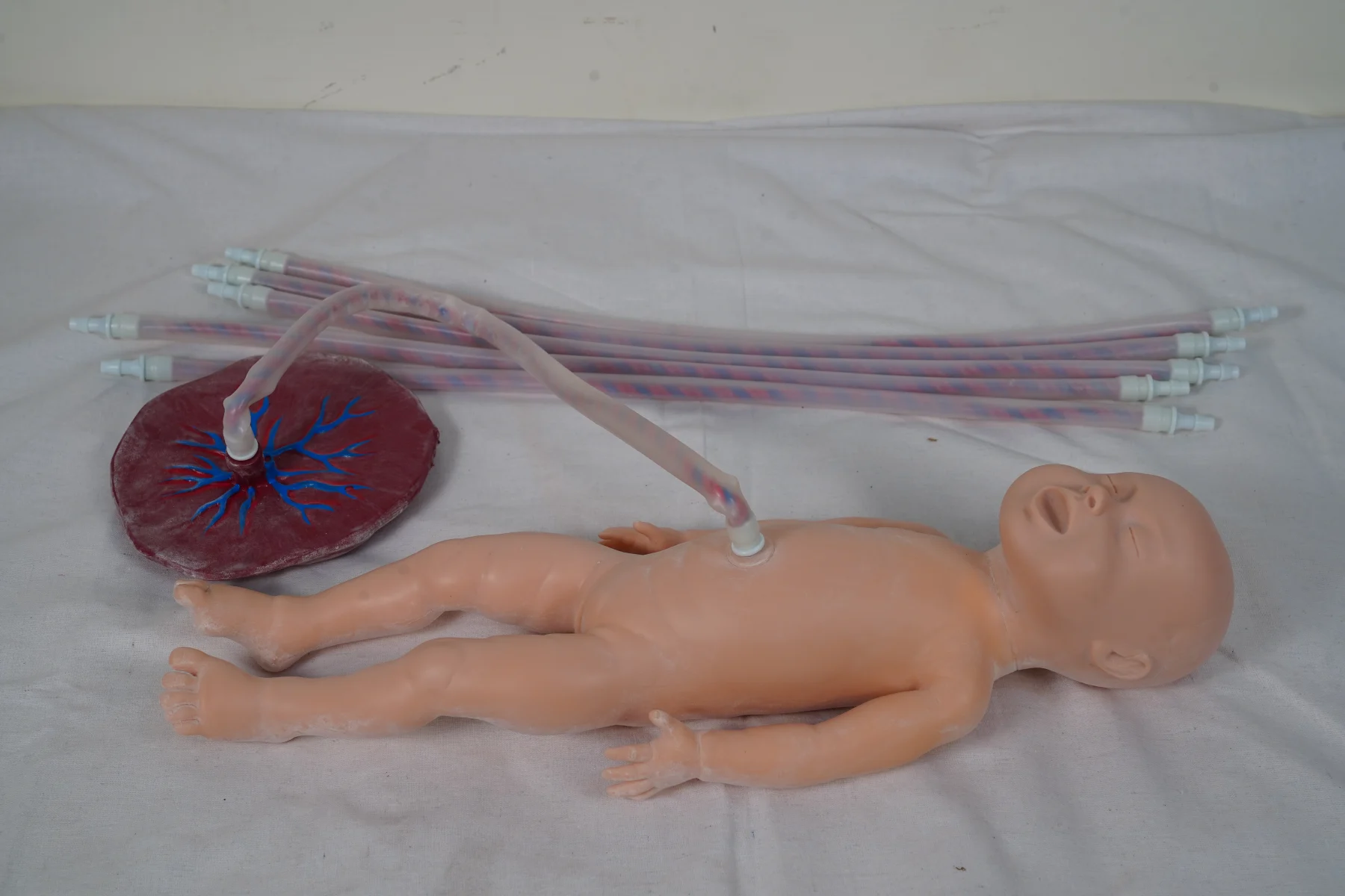 Advanced Neonate Umbilical Cord Nursing Model thumbnail 6