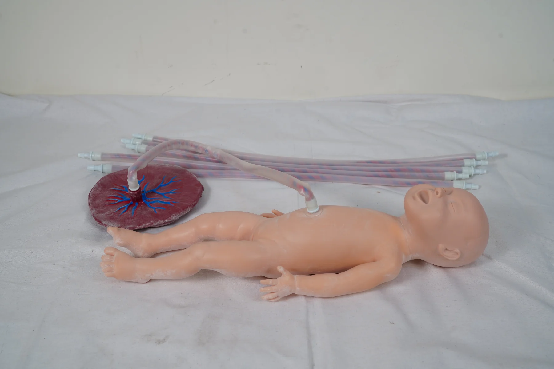 Advanced Neonate Umbilical Cord Nursing Model