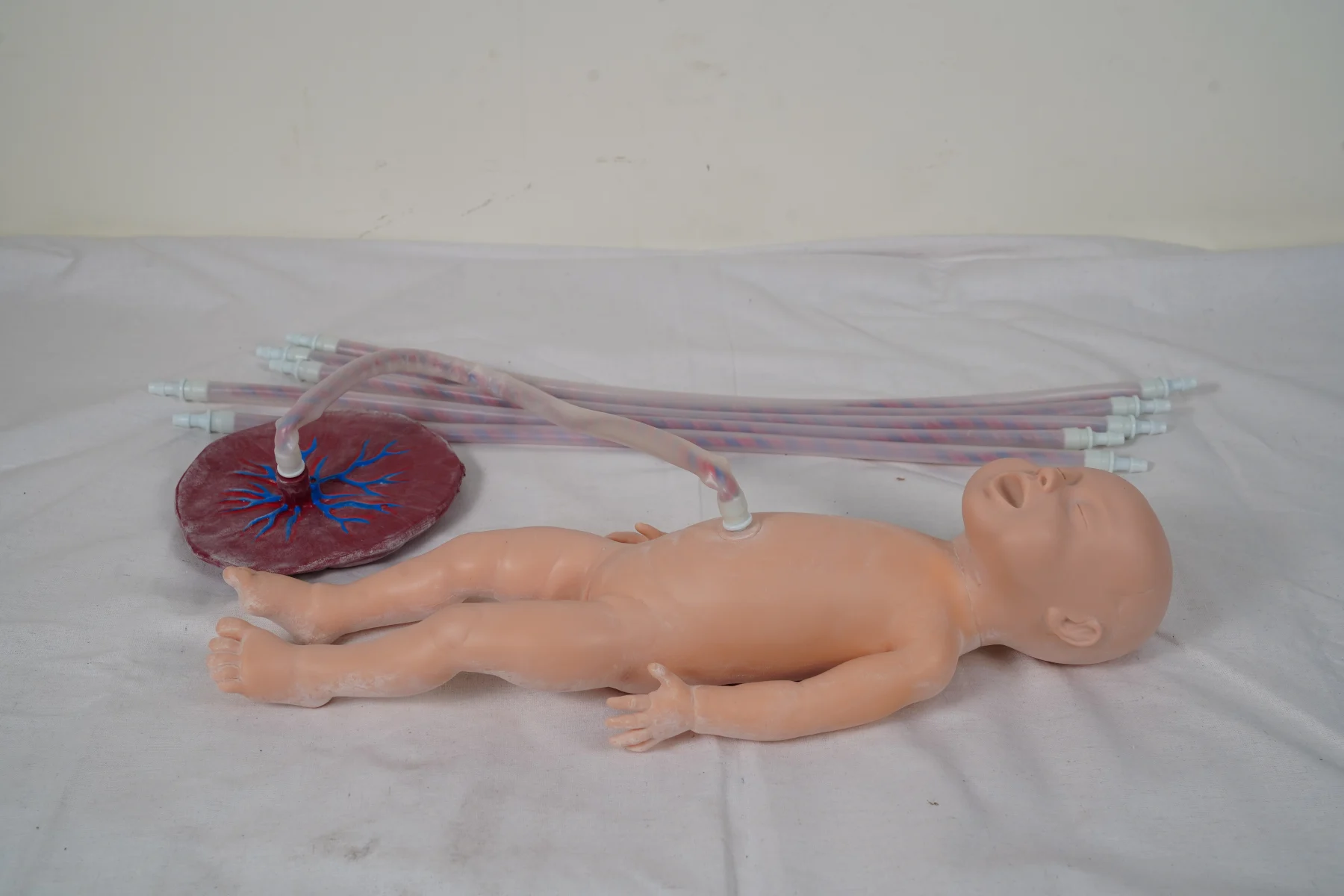 Advanced Neonate Umbilical Cord Nursing Model thumbnail 2