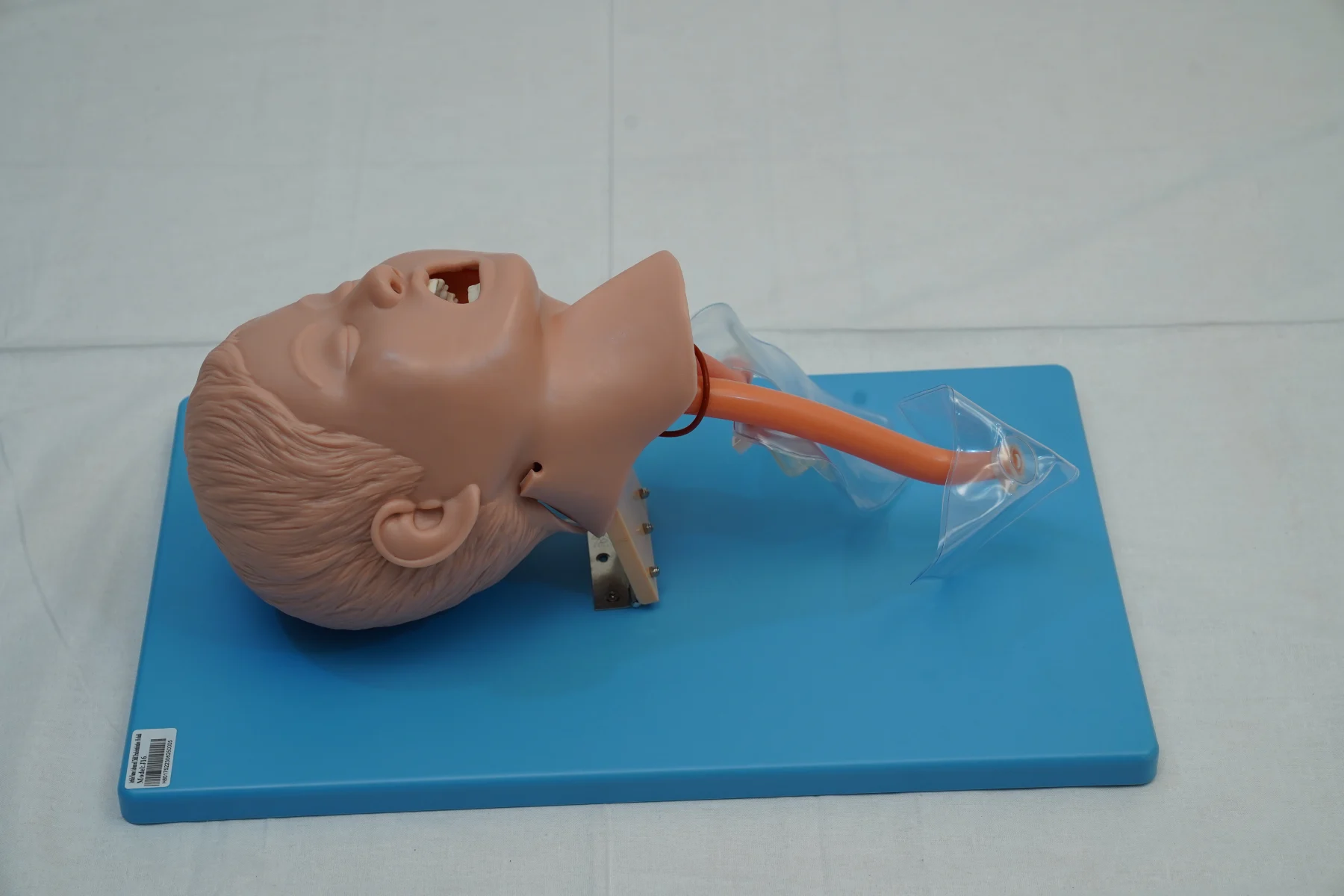 Advanced Child Tracheal Intubation Model thumbnail 2