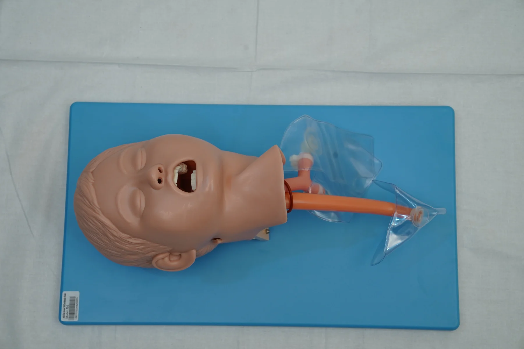 Advanced Child Tracheal Intubation Model thumbnail 3
