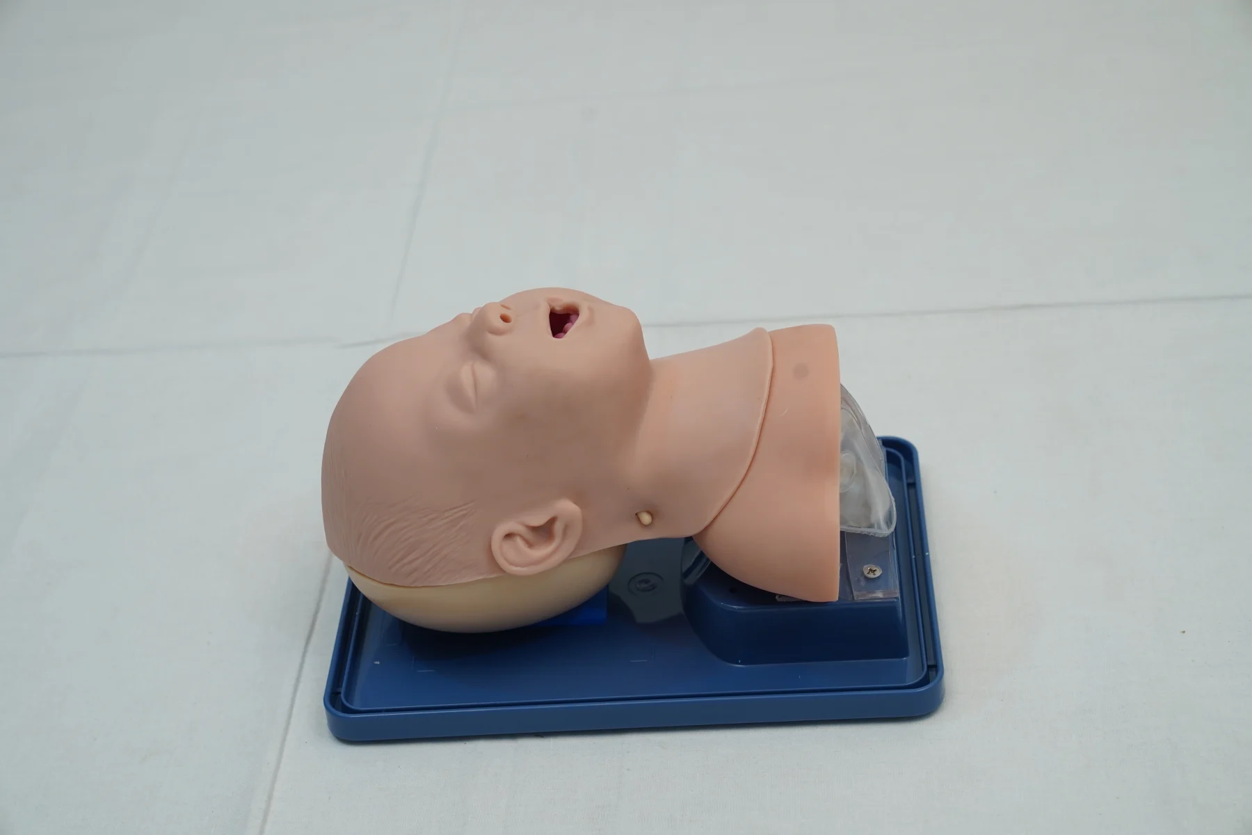 Infant Airway Management Model thumbnail 3
