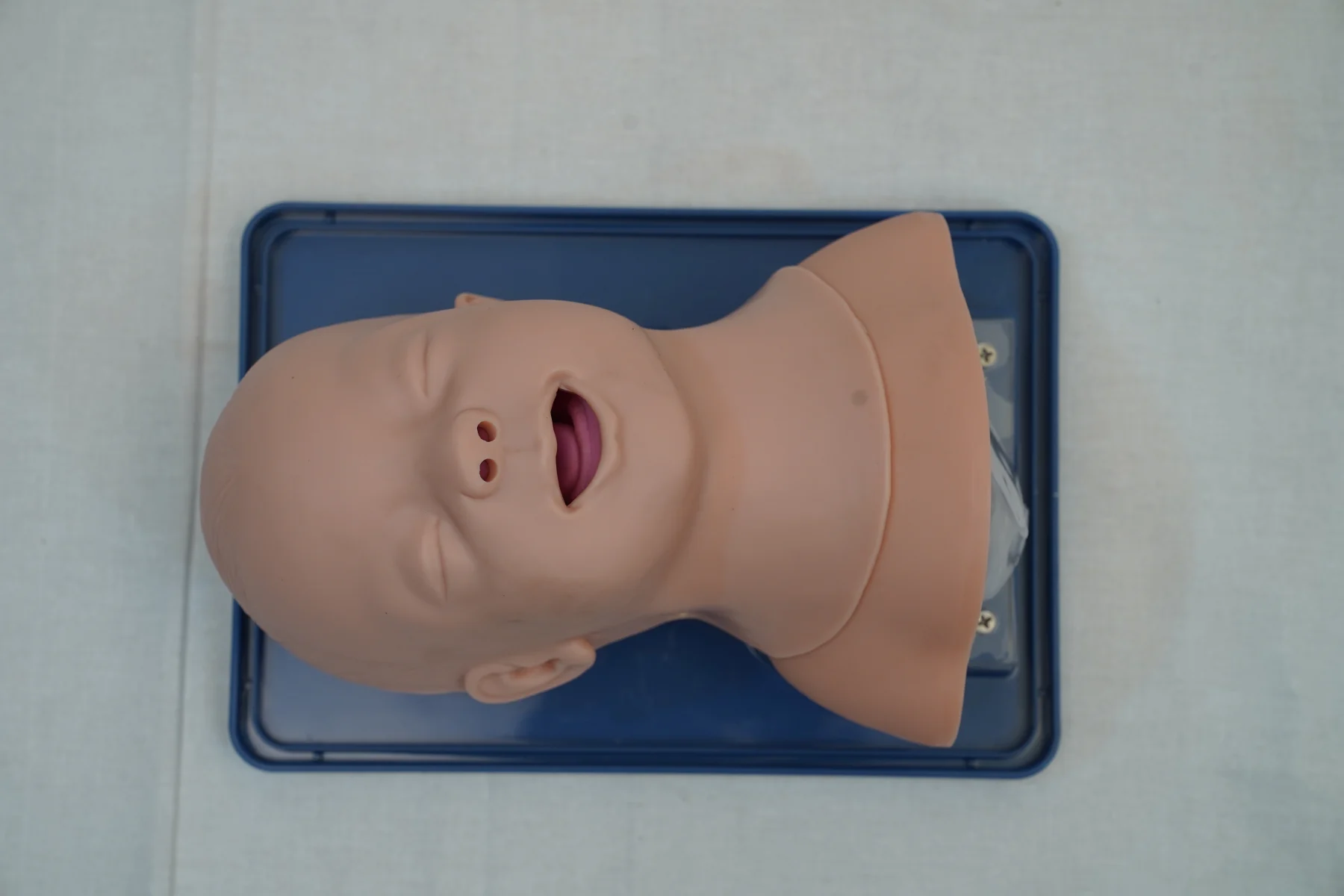 Infant Airway Management Model thumbnail 5