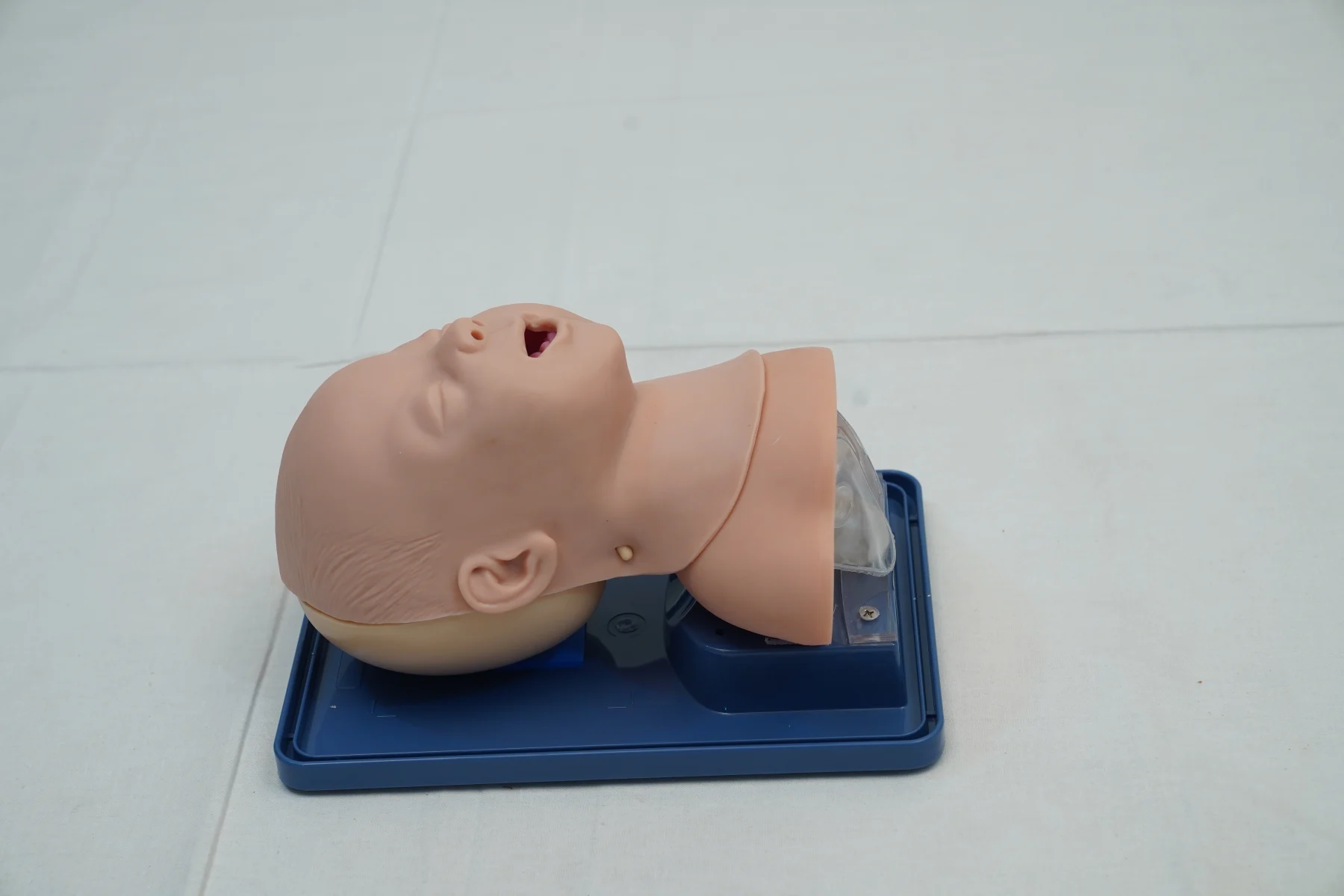 Infant Airway Management Model thumbnail 6