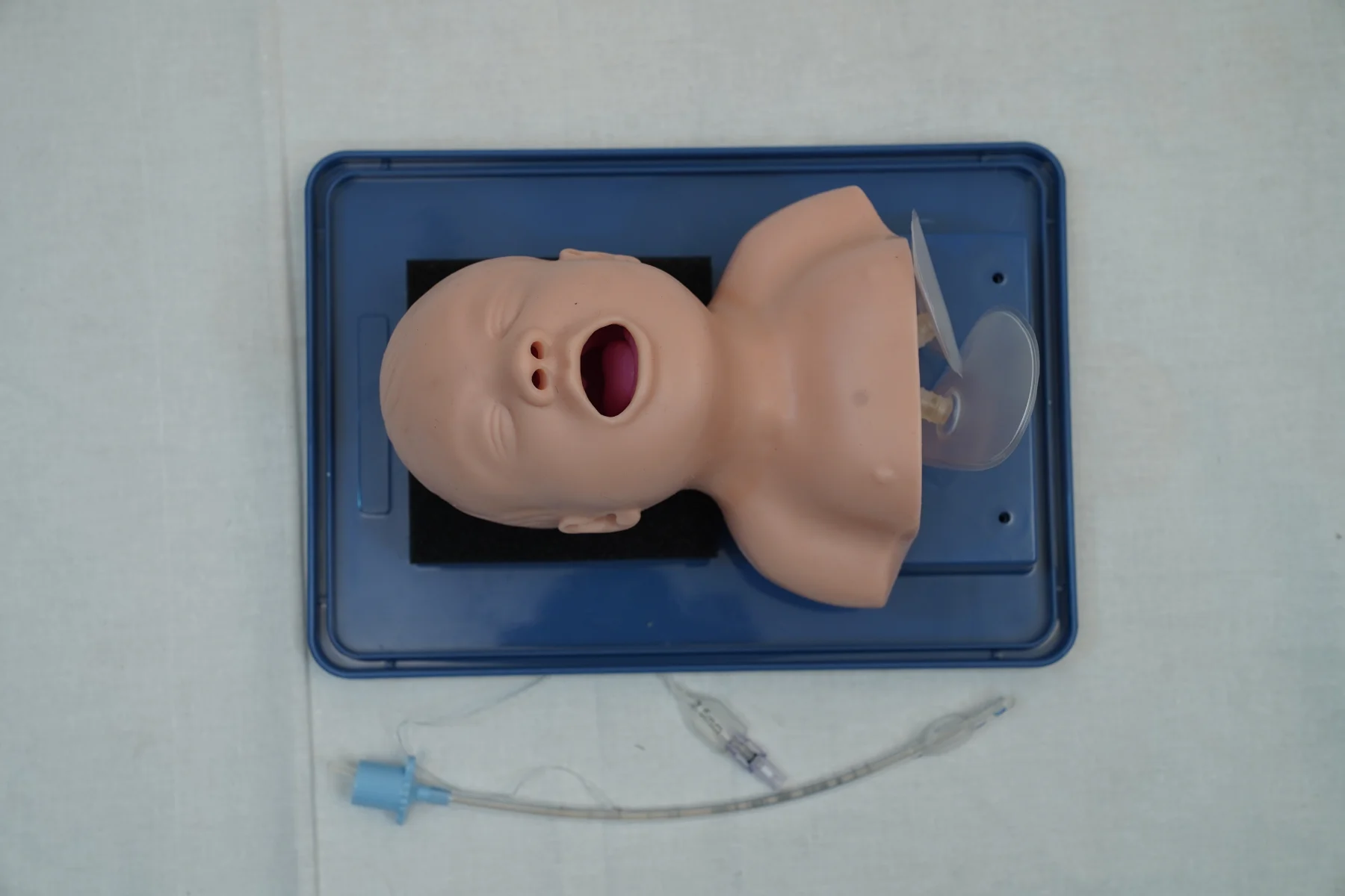 Infant Airway Management Model thumbnail 7
