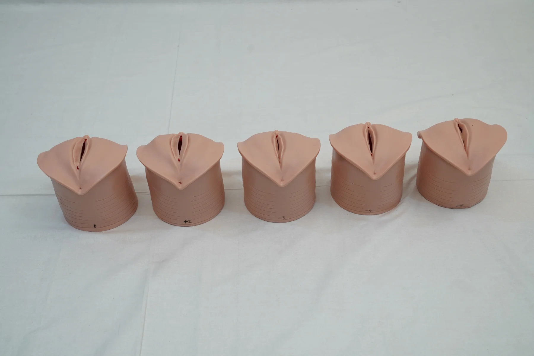 Labour Delivery Simulator