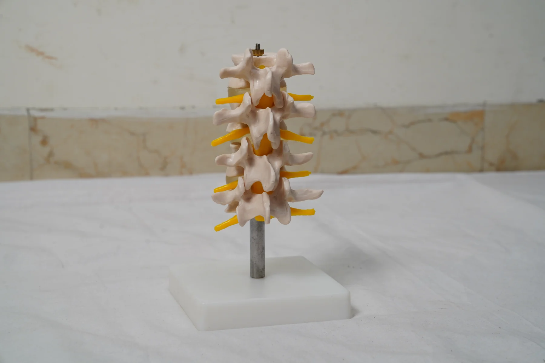 Lumbar Set thumbnail 3