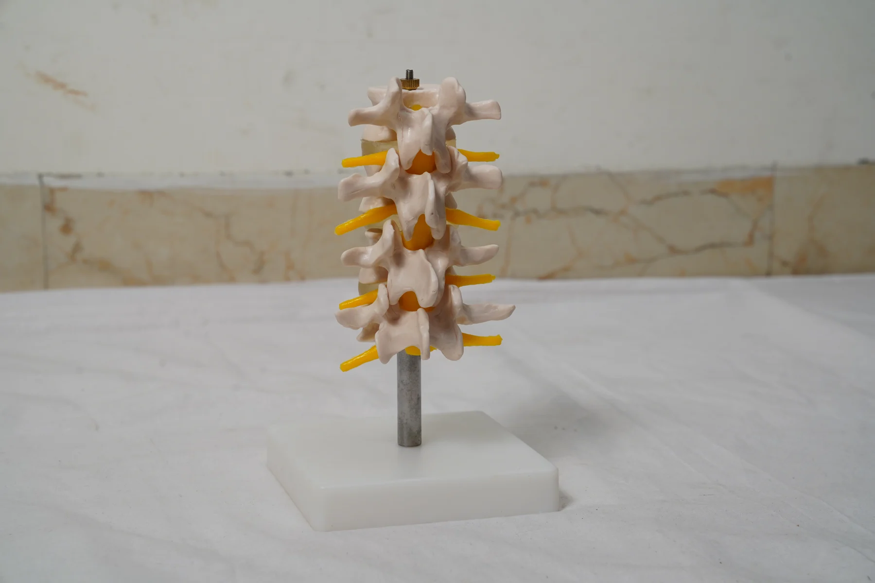 Lumbar Set thumbnail 4