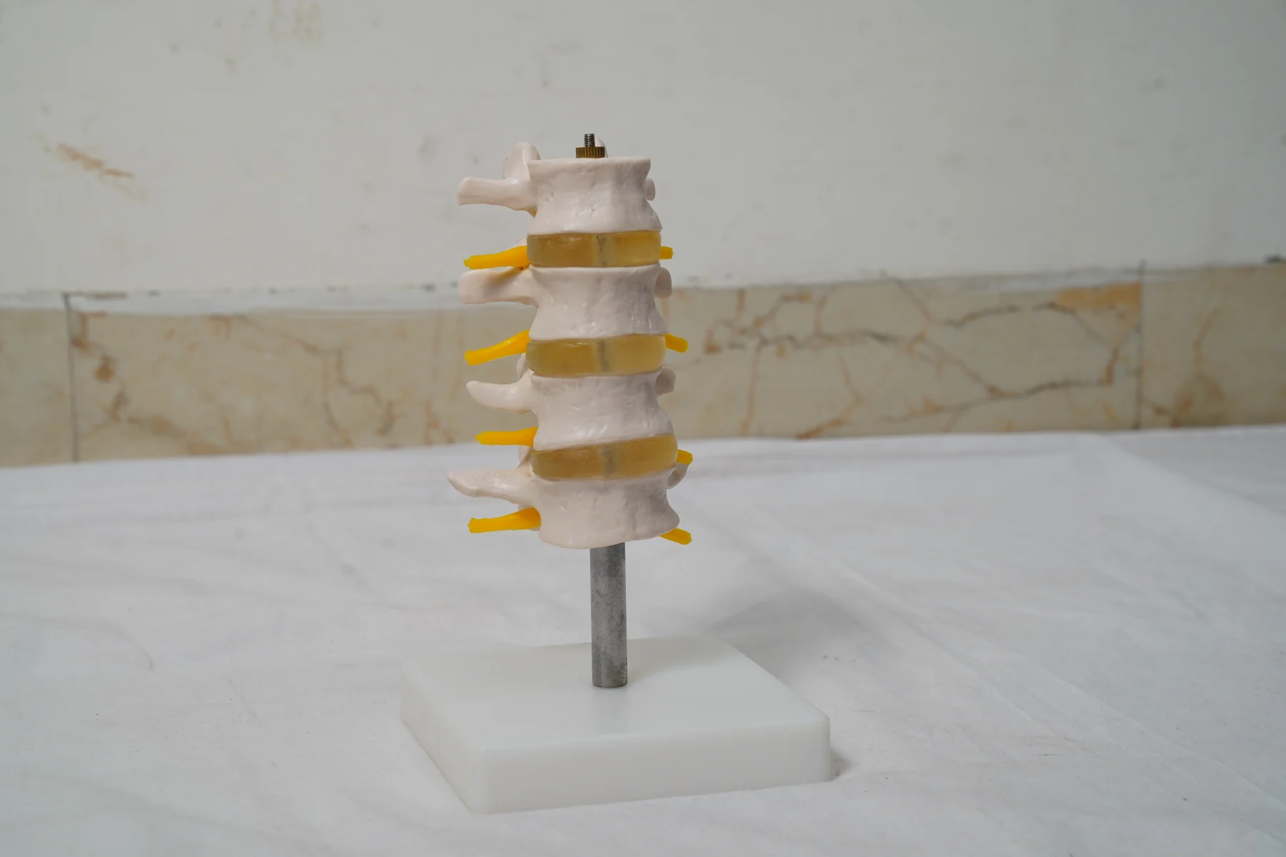 Lumbar Set thumbnail 2