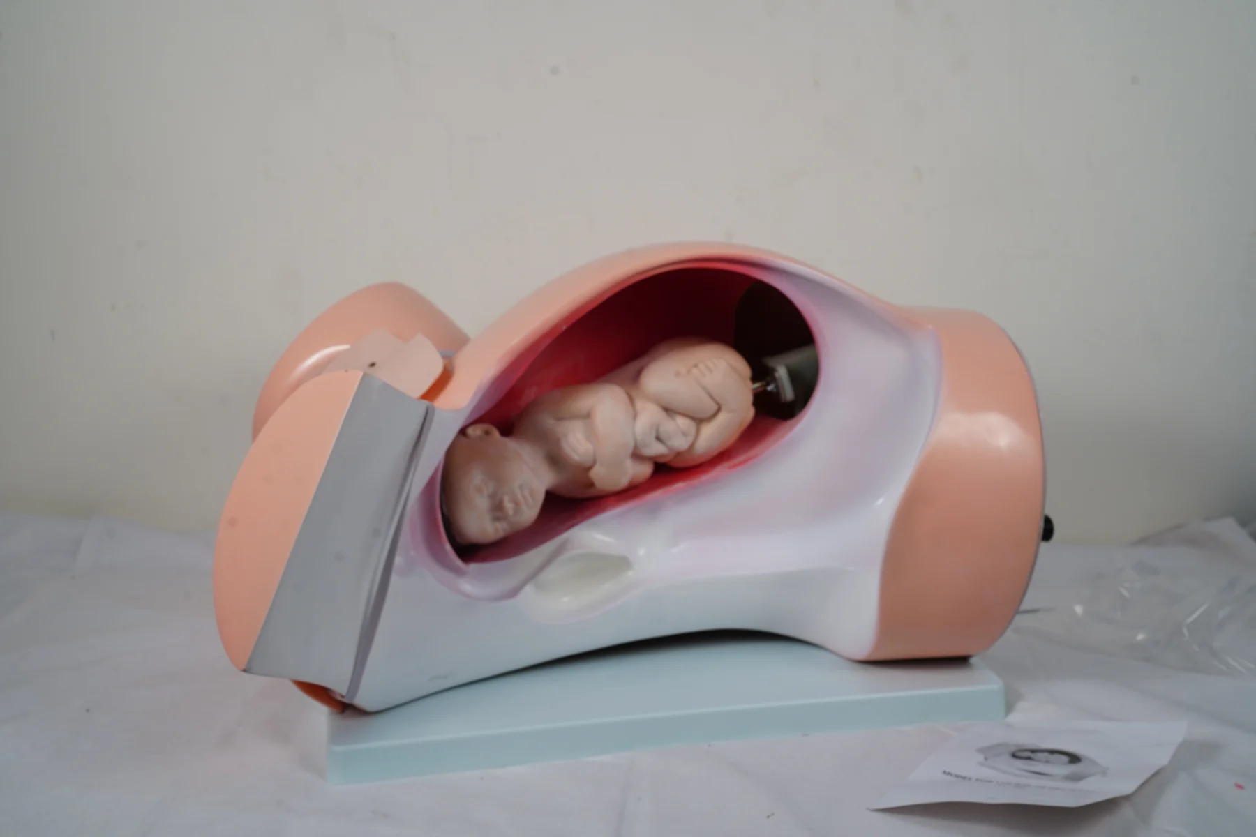 Model of Course of Delivery