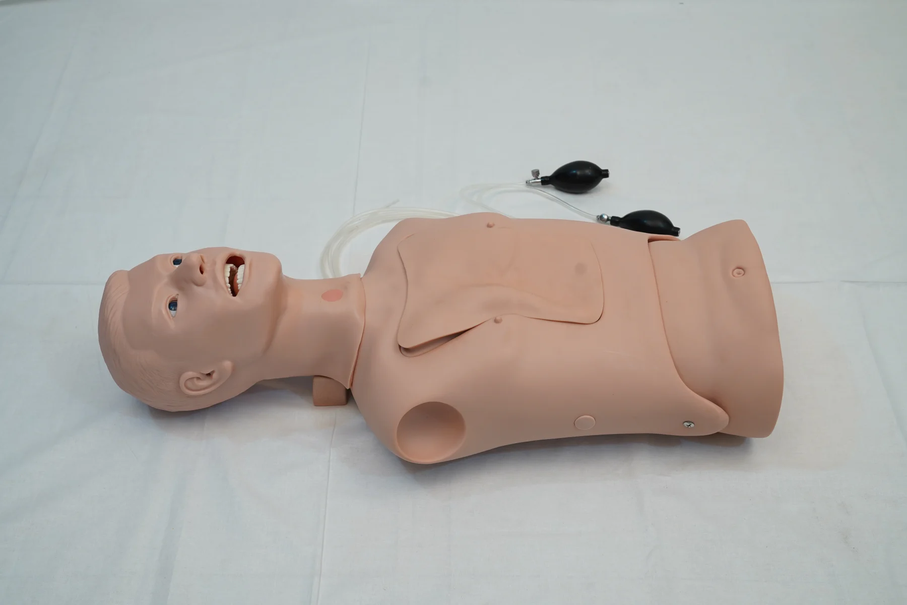 Nasogastric Feeding & Tracheal Intubation Simulator