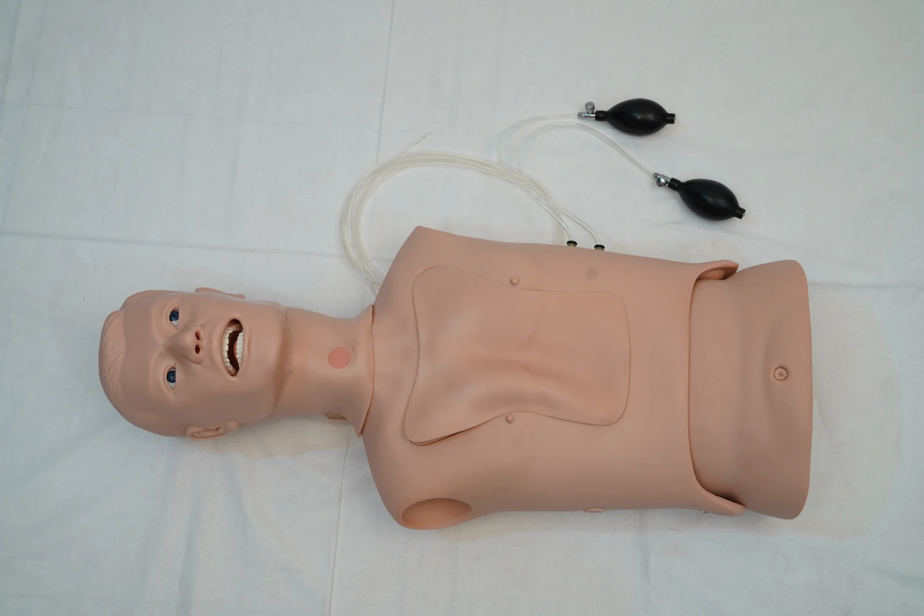 Nasogastric Feeding & Tracheal Intubation Simulator thumbnail 2