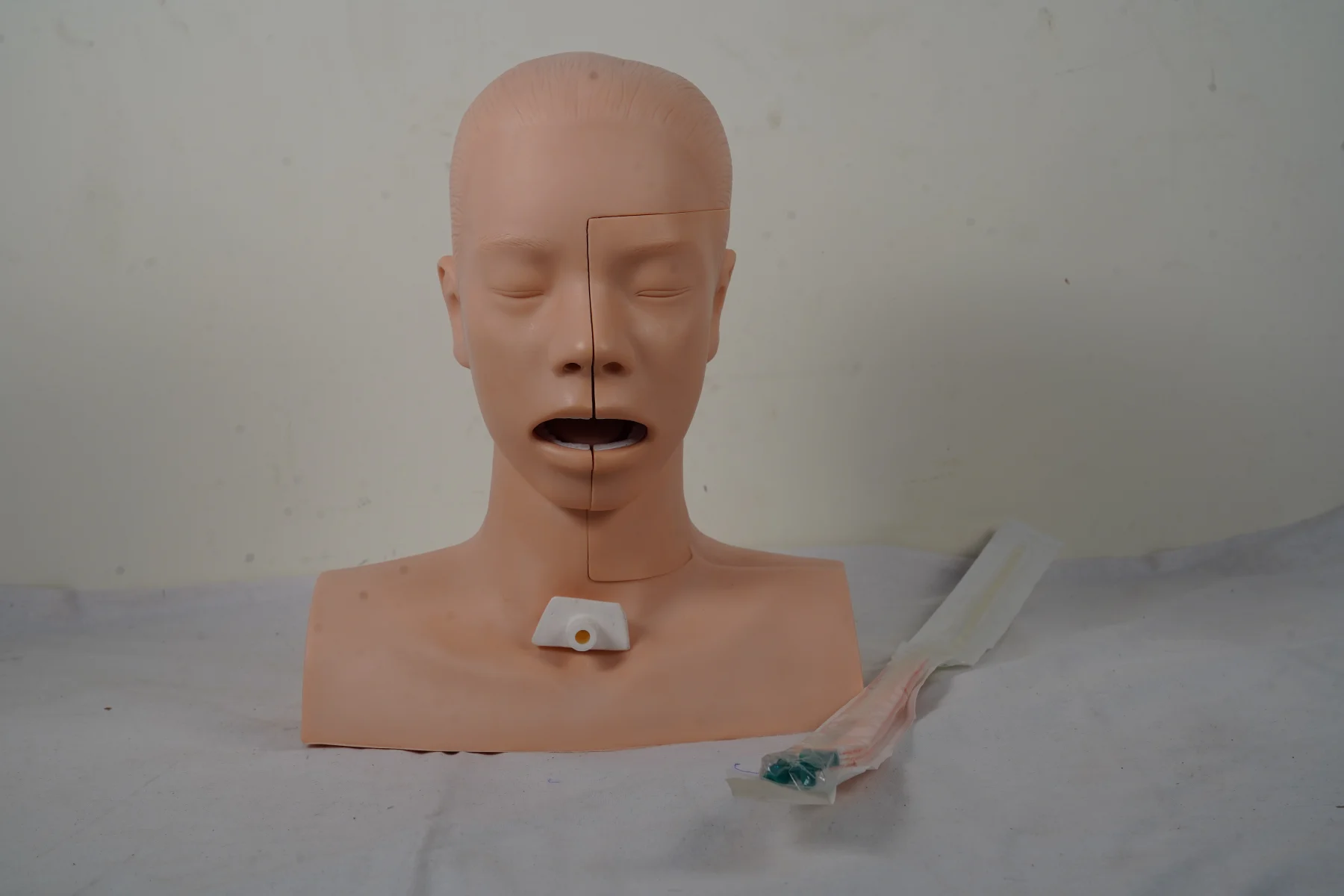 Suction Training Model thumbnail 3