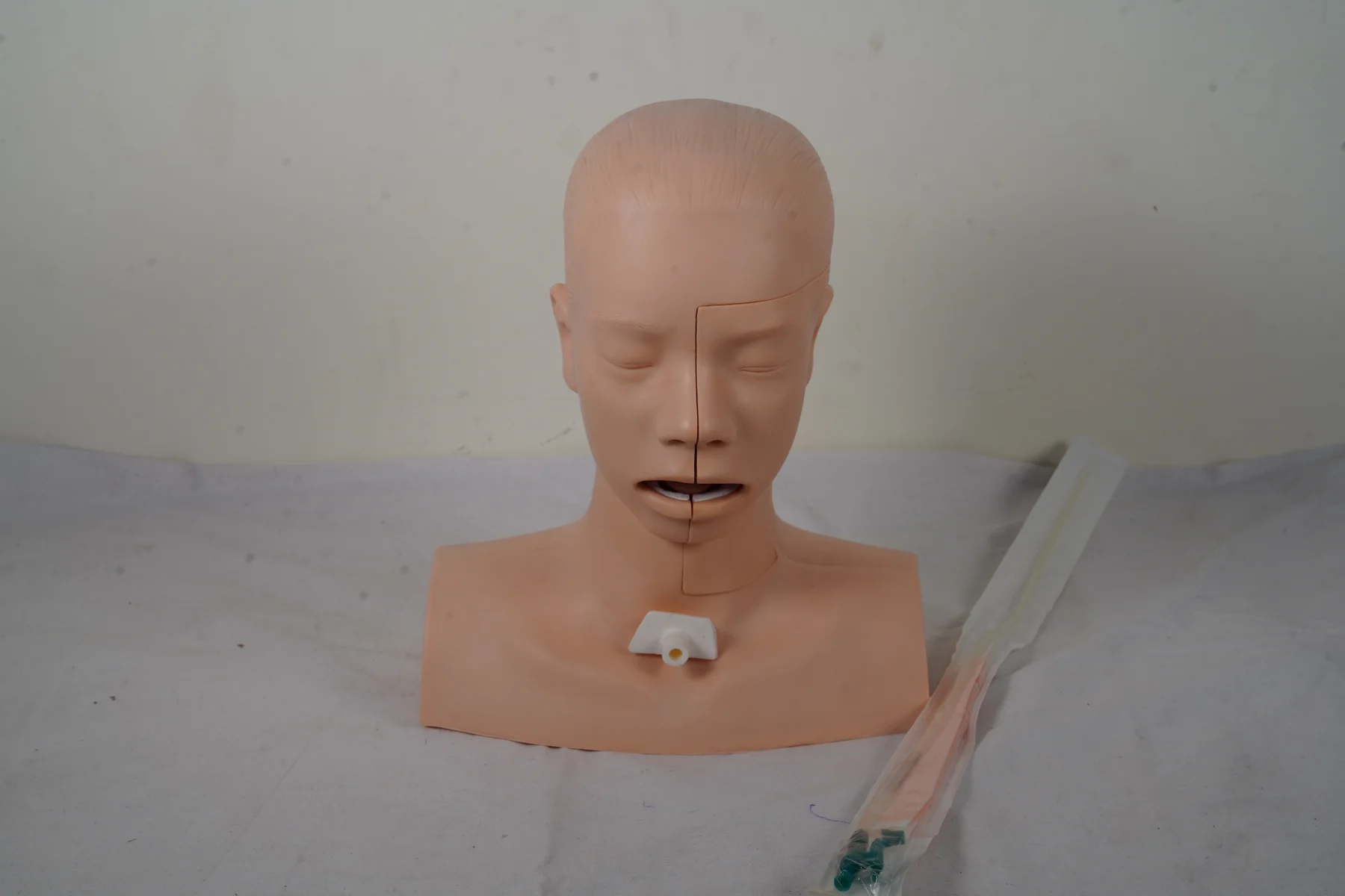 Suction Training Model thumbnail 5