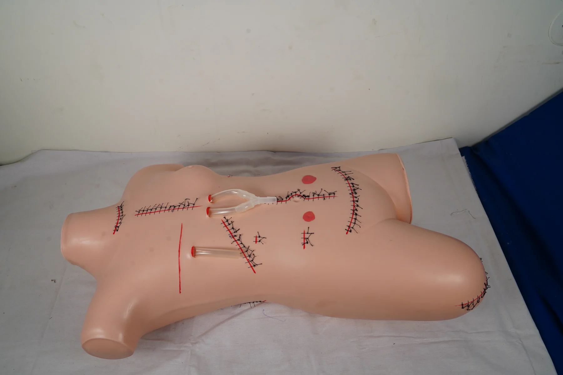 Surgical Suture and Bandaging Model