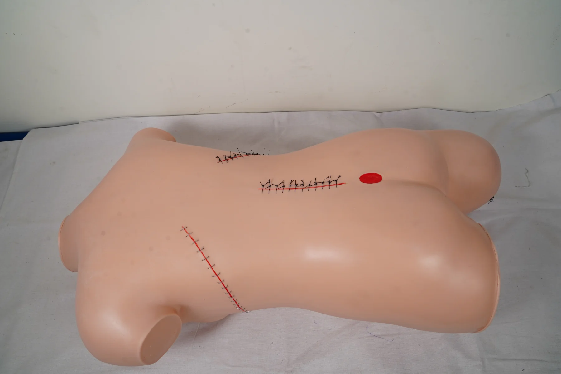 Surgical Suture and Bandaging Model thumbnail 11