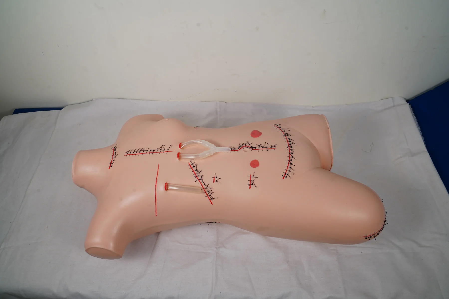 Surgical Suture and Bandaging Model thumbnail 5