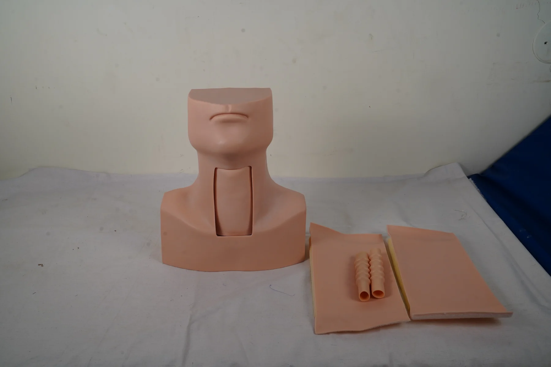 Tracheostomy Simulator